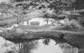 歴史写真館NO.2　岳風台その2 ひょうたん池