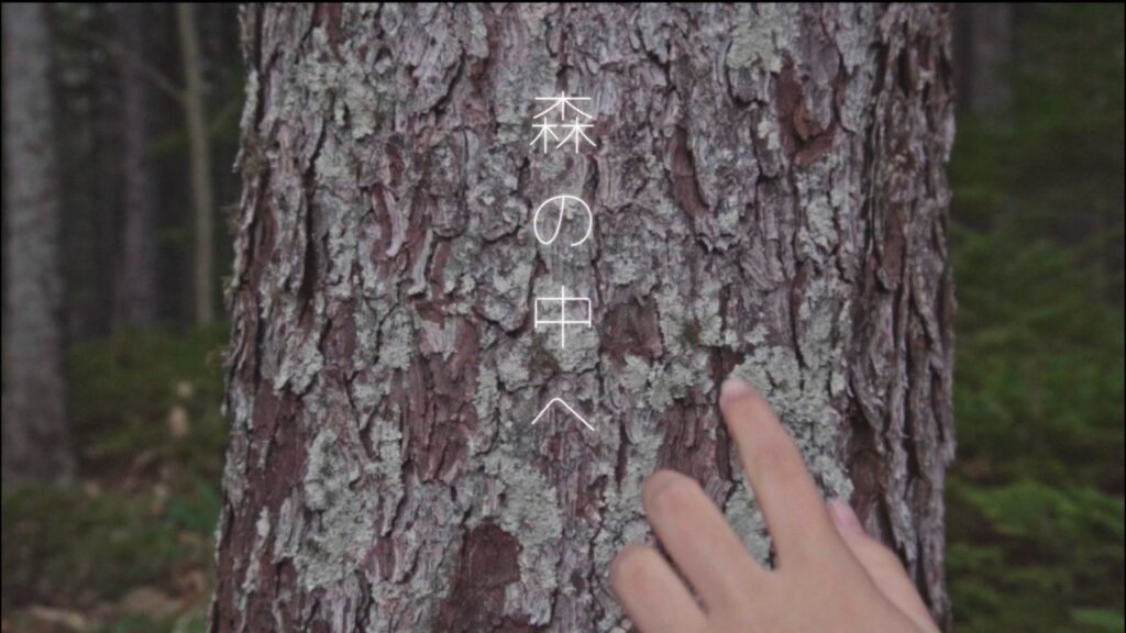 動画「森の中へ」を公開しました。