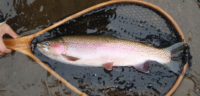 fishing guide&cottage 道東フィールド