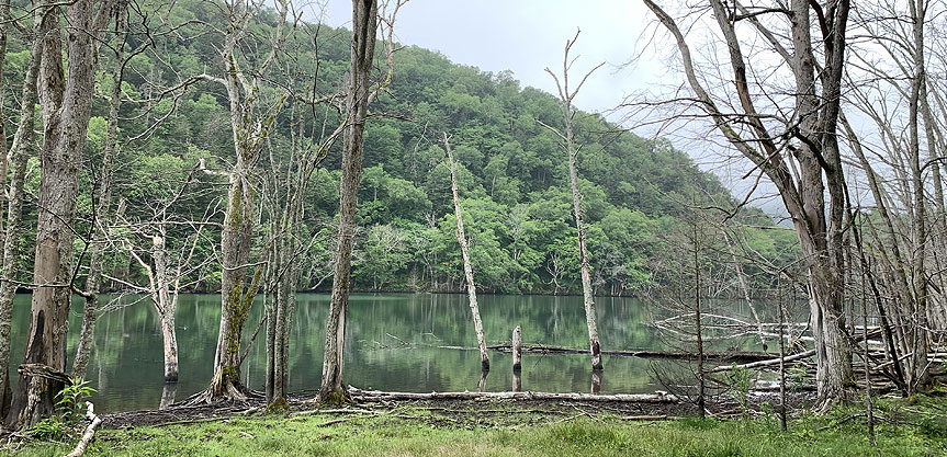 キンムトー(湯沼)
