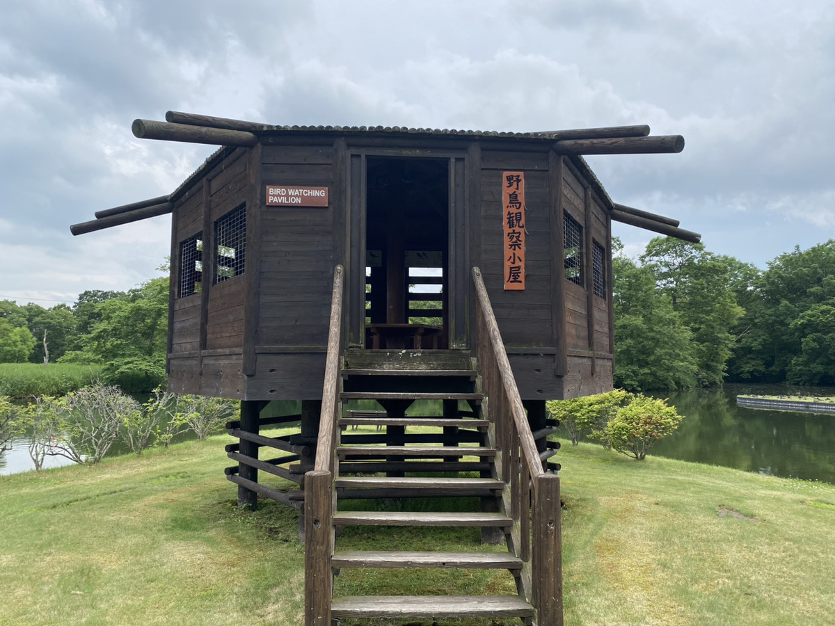水郷公園（水郷緑地）