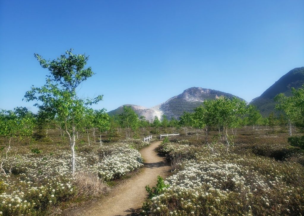 【春～秋】入門編 弟子屈の自然をめぐる1泊2日